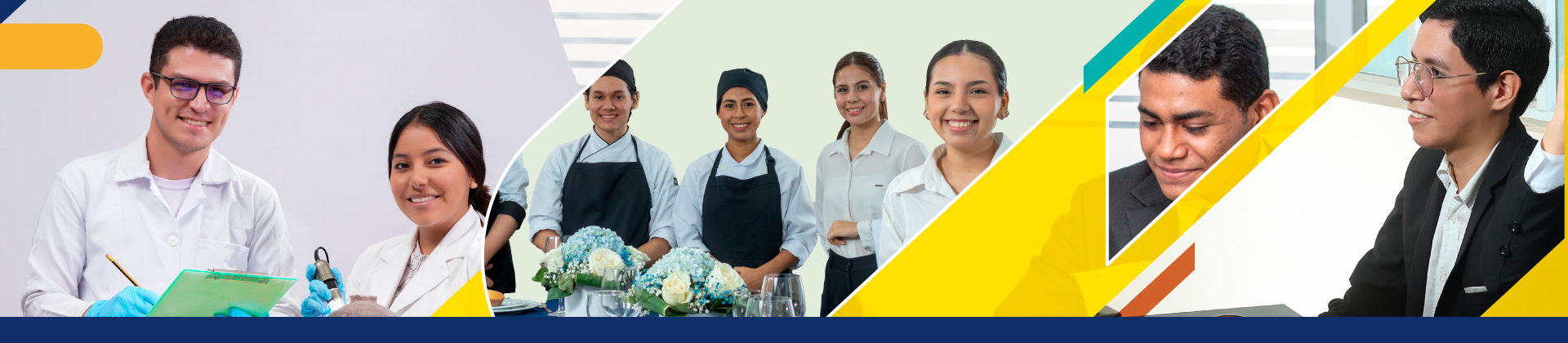 Conjunto de las carreras que contiene a los perfiles para las prácticas preprofesionales.