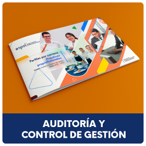 Portada del pdf que contiene los perfiles de la carrera de auditoría y control de gestión, para las prácticas preprofesionales.