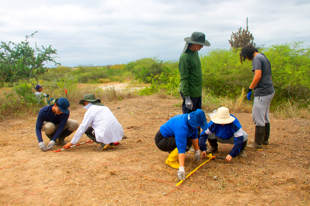Estudiantes de Arqueología en prácticas de campo