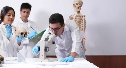 Arqueología