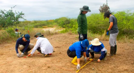 Estudiantes de Arqueología en prácticas de campo